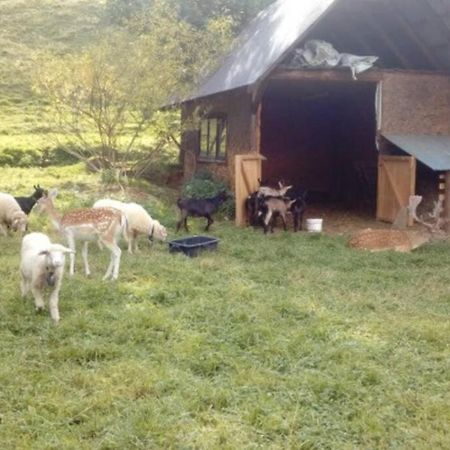 Gospodarstwo Agroturystyczne U Nos Apartament Bioly Ratulow Екстериор снимка